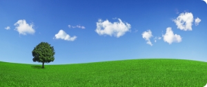 Business VoIP